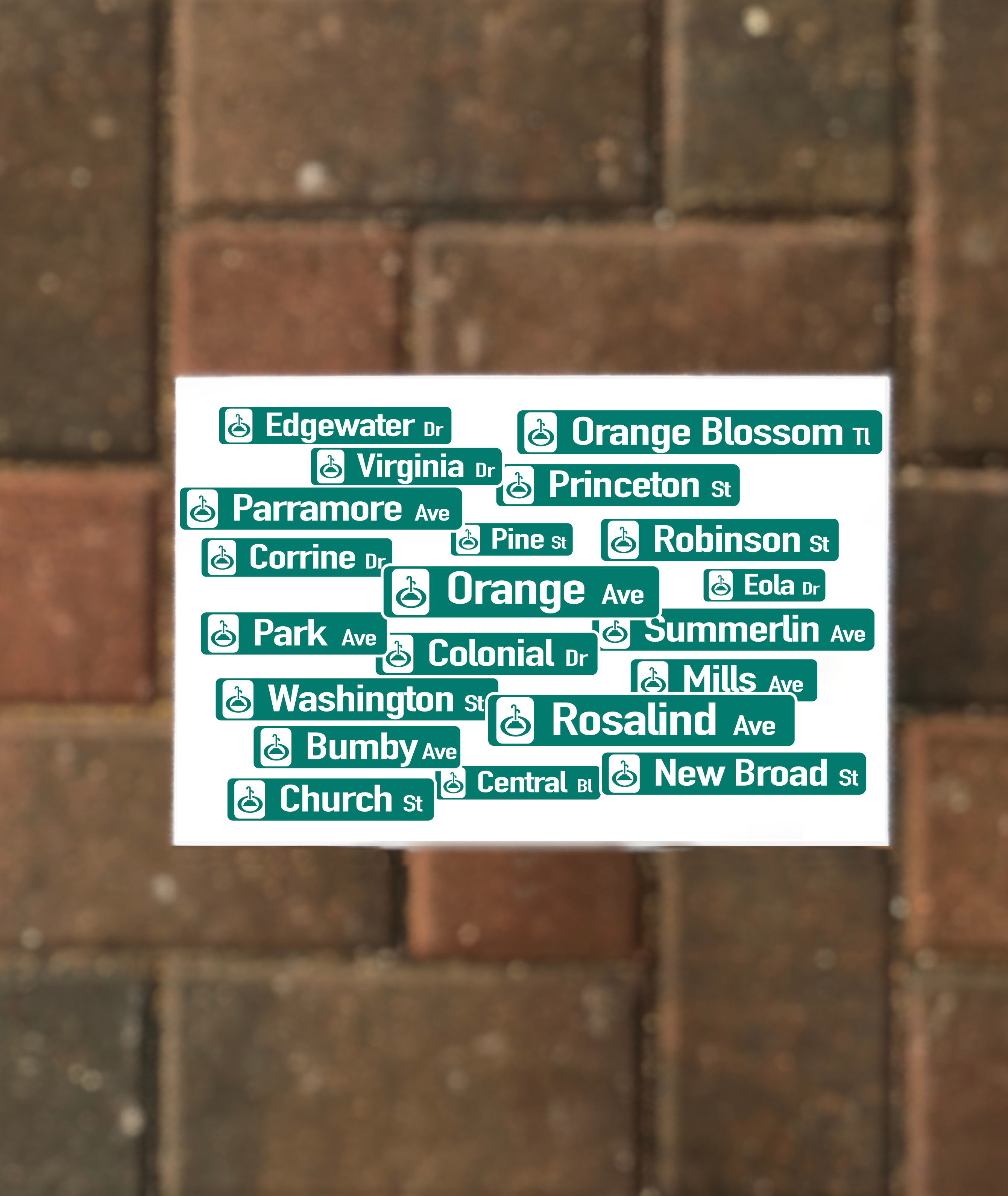 Orlando Street Signs Postcard
